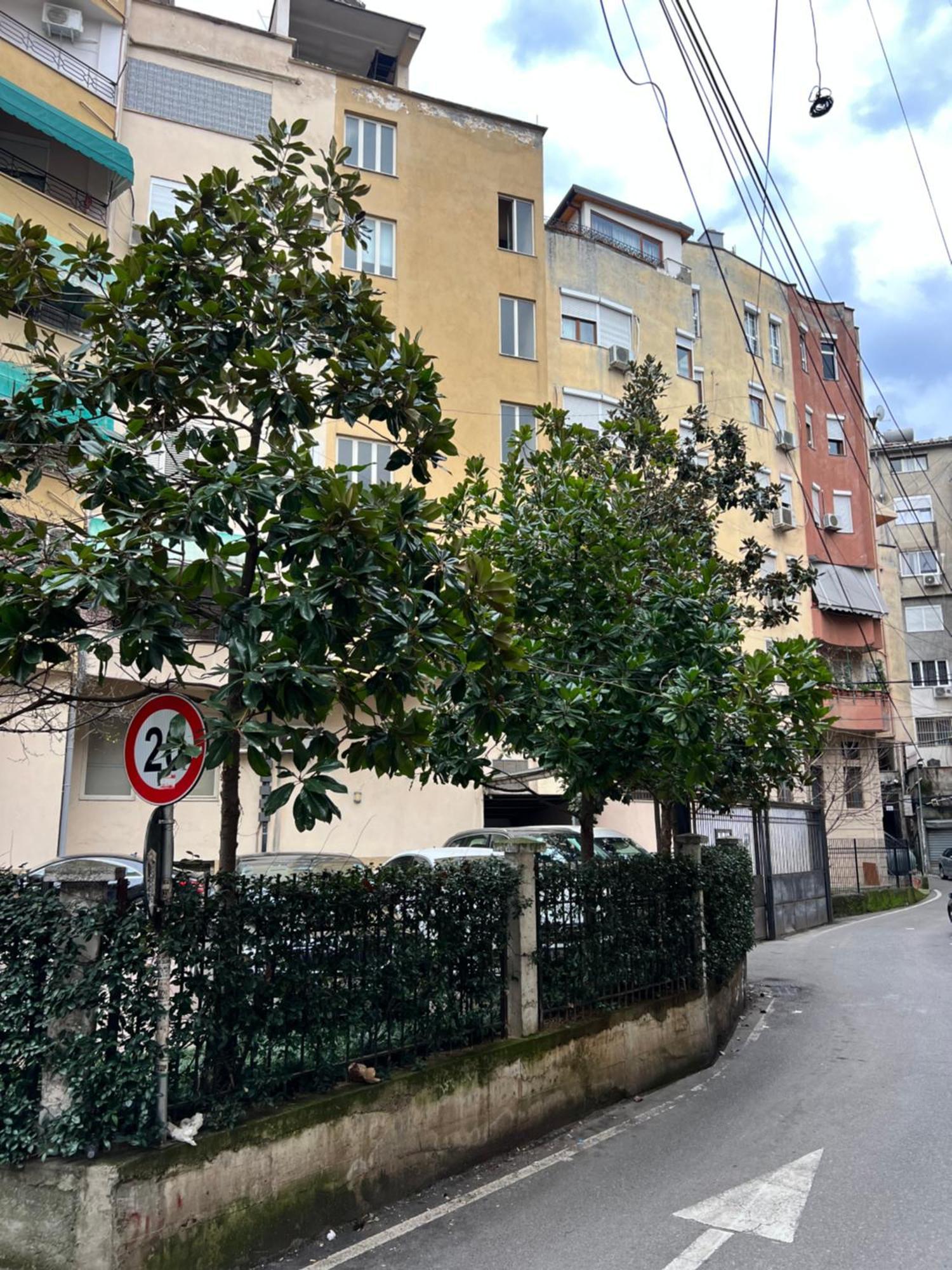 Center Tirana